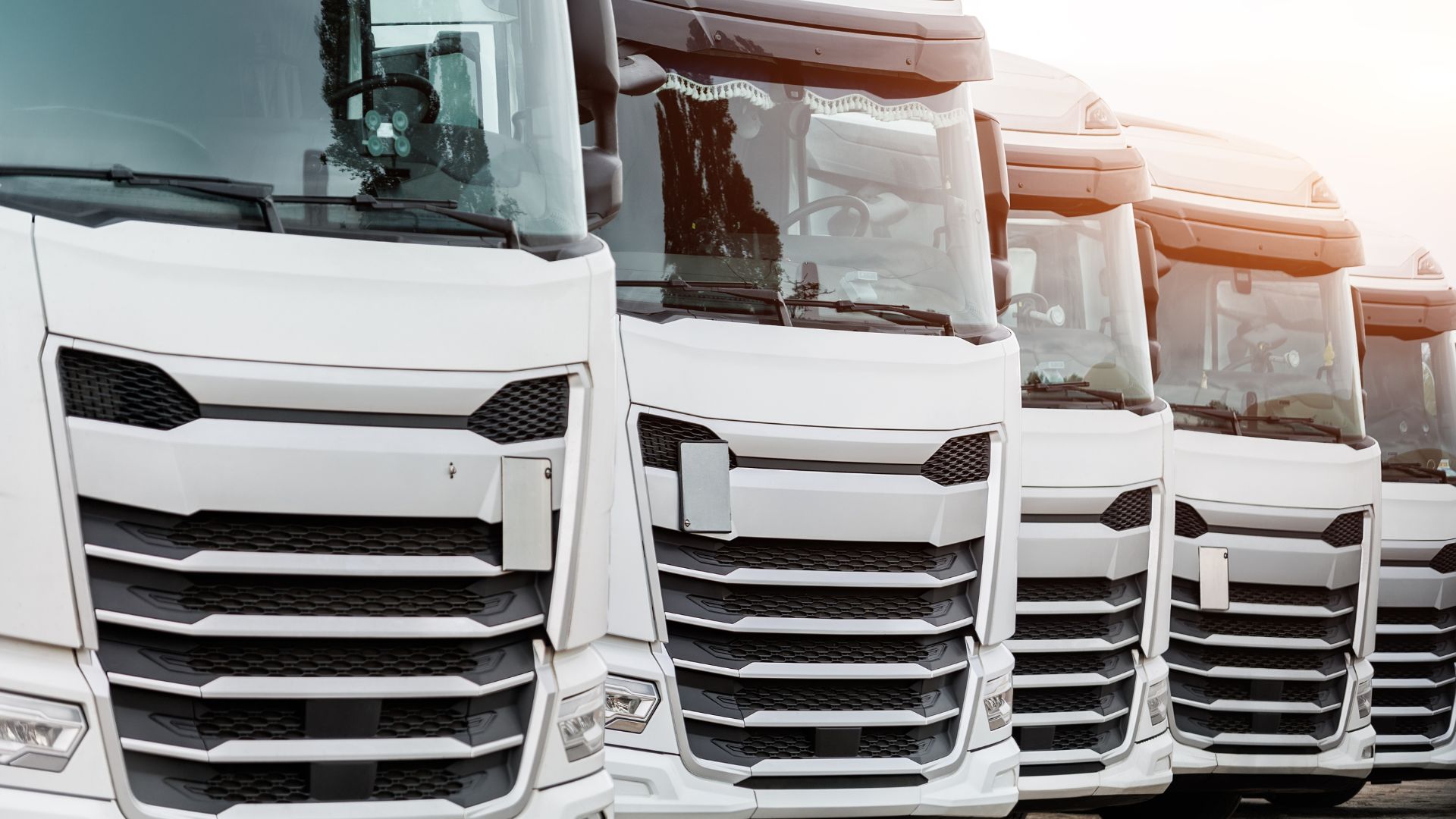 Fleet of new modern white trucks parked in line row outdoors.